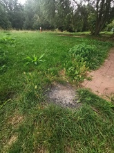 zdjęcie 3