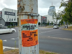 zdjęcie 5