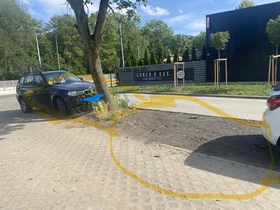 zdjęcie 1
