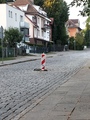 zdjęcie 1