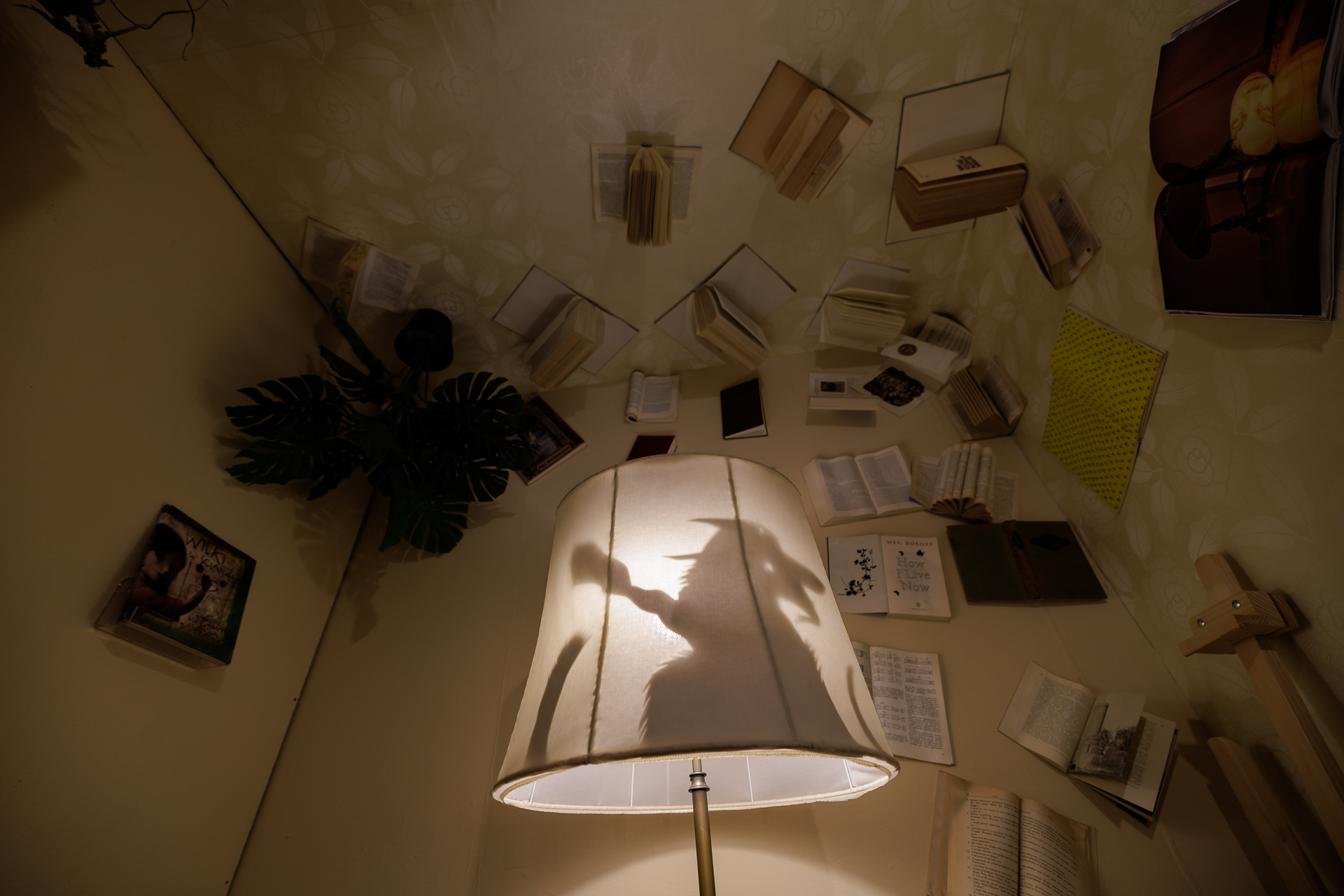 Zdjęcie z wystawy - lampy i książki