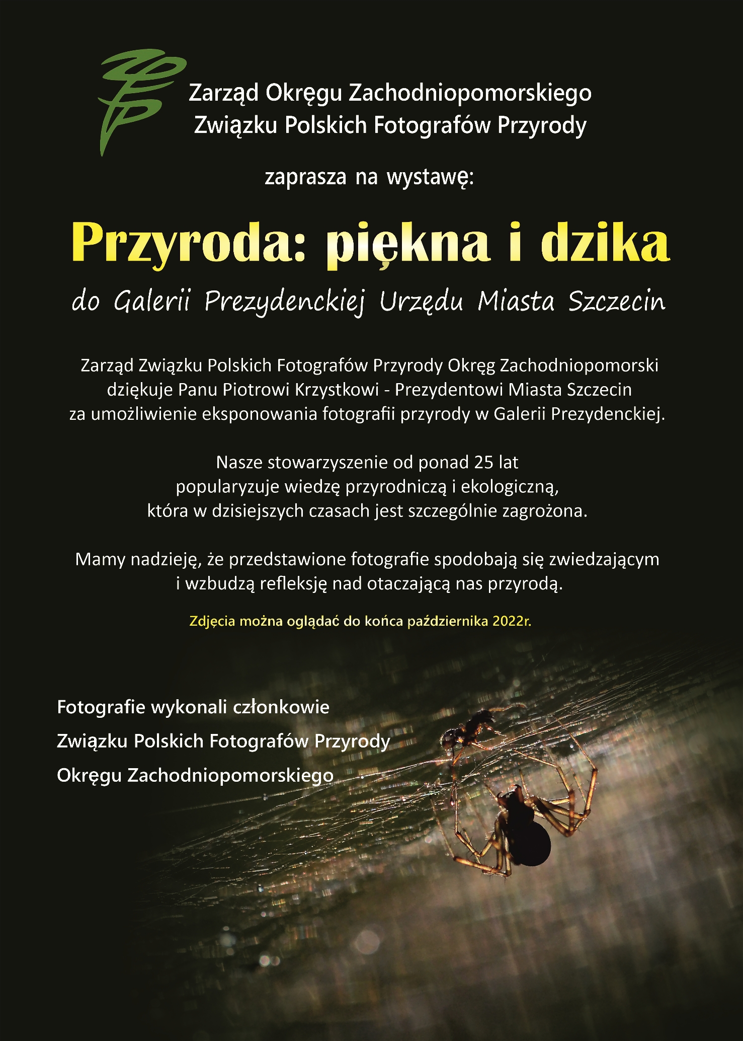 Plakat organizatora - zdjęcie pająka wraz z informacjami zawartymi w newsie