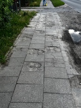 zdjęcie 1