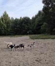 zdjęcie 1
