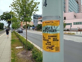 zdjęcie 6