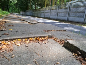 zdjęcie 3
