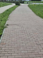 zdjęcie 1