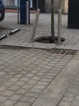 zdjęcie 8