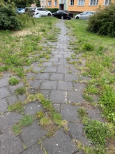 zdjęcie 1