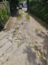 zdjęcie 5