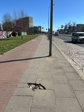 zdjęcie 3