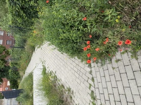 zdjęcie 1